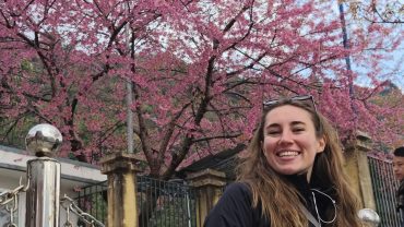 Ha Giang Cherry Blossoms 2026: When & Where to Find the Pink Bloom