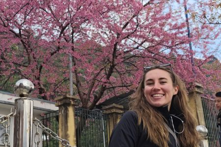Ha Giang Cherry Blossoms 2026: When & Where to Find the Pink Bloom